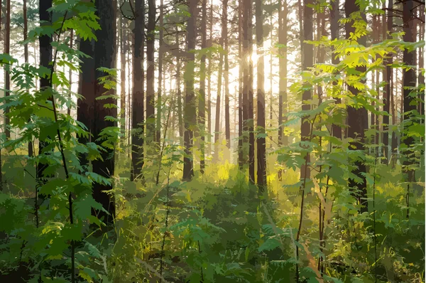 Vacker solnedgång i skogen — Stock vektor