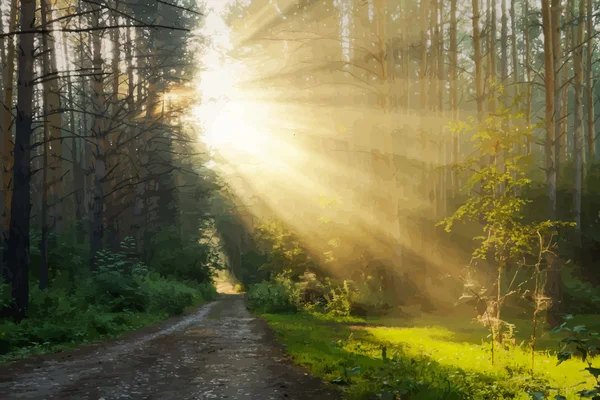 Hermoso amanecer en el bosque — Archivo Imágenes Vectoriales