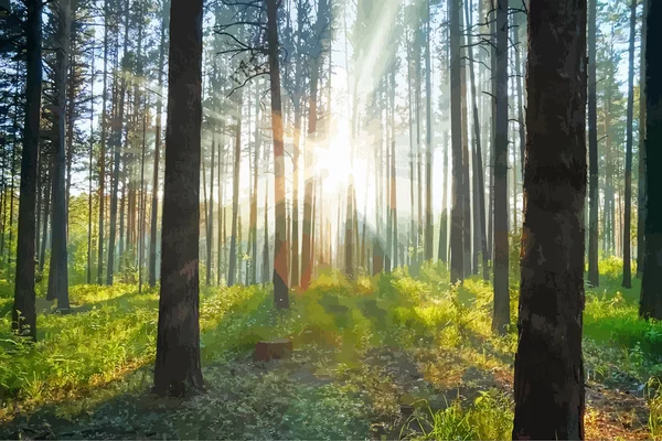 Belo pôr do sol na floresta — Vetor de Stock