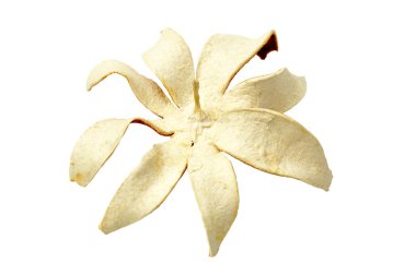 kurutulmuş portakal kabuğu