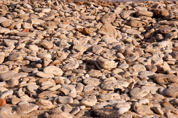 La côte avec les cailloux de mer — Photo