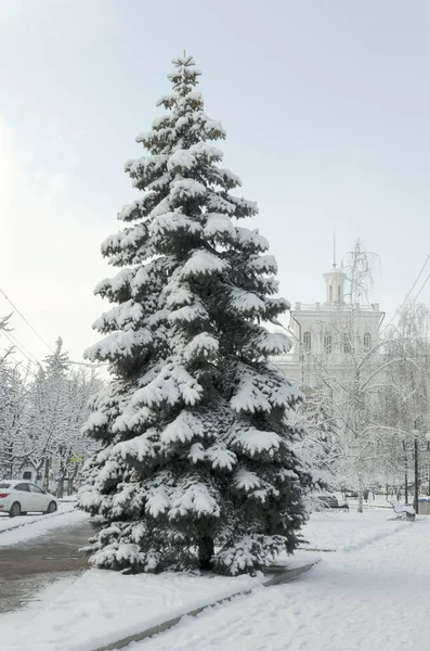 Primer Plano Cubierto Nieve Invierno — Foto de Stock