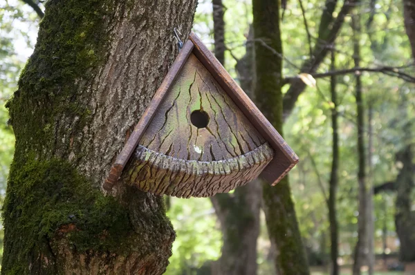 Feeders voor vogels in de winter — Stockfoto