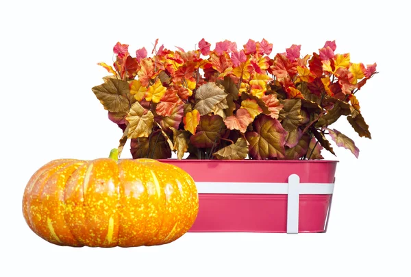 Basket with autumn leaves and pumpkin — Stock Photo, Image