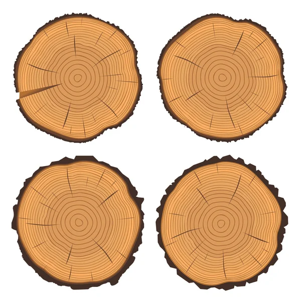 Anillos de árboles y tronco de árbol cortado — Vector de stock