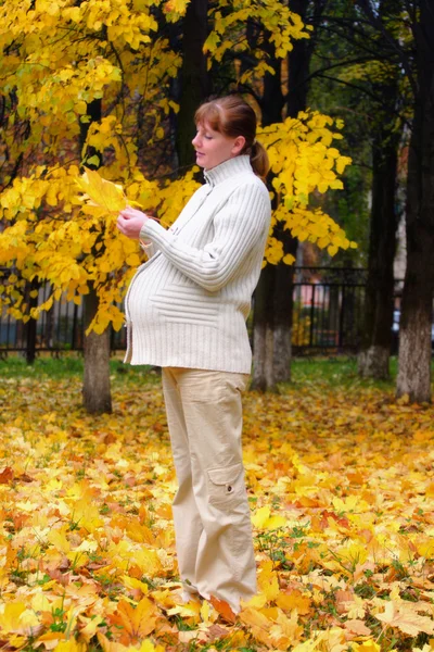 Pregnant woman in autumn park hold maple leaf — Stock Photo, Image