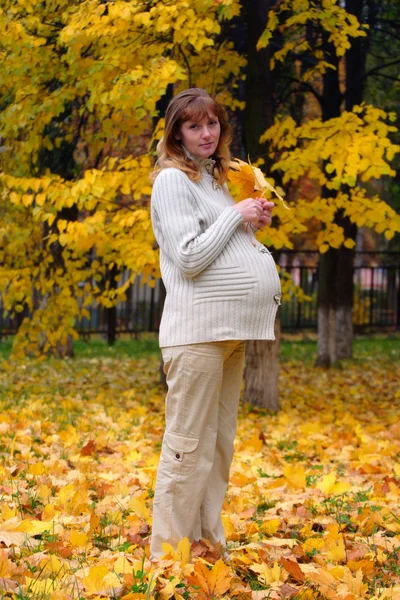 Pregnant woman in autumn park — Stock Photo, Image