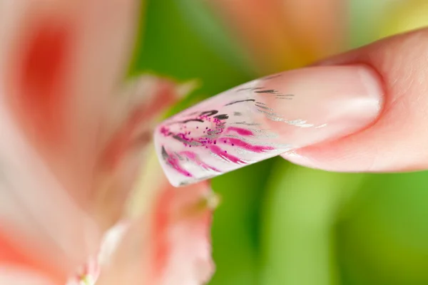 El dedo con la manicura hermosa tocan la flor — Foto de Stock