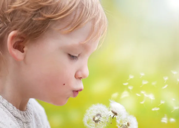 Młoda blond dziecko w dmuchanie łąka życzenia na mniszek nasienie — Zdjęcie stockowe