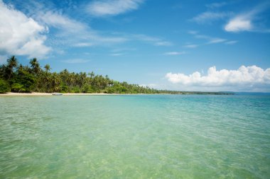 Yalnızlık beach bir palmiye ağaçlarının altında rahatlatıcı