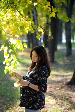 Hamile kadın sonbahar parkta ağaç dalı tut