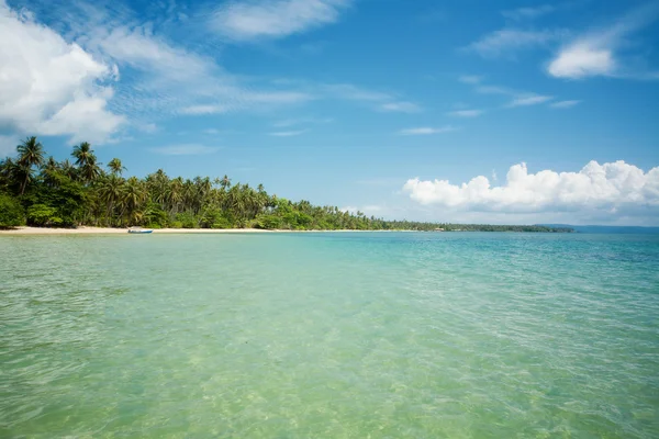 Отдых под пальмами на пляже одиночества — стоковое фото