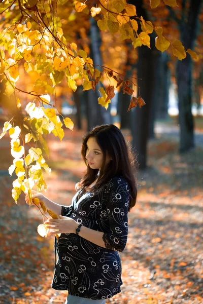 Sonbahar Park hamile kadın — Stok fotoğraf