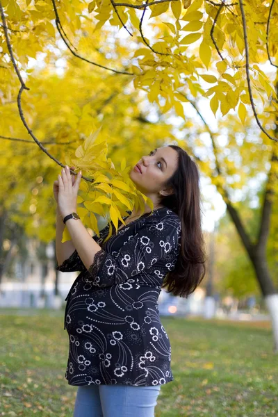Pregnant woman in autumn park hold the limb — Stock Photo, Image