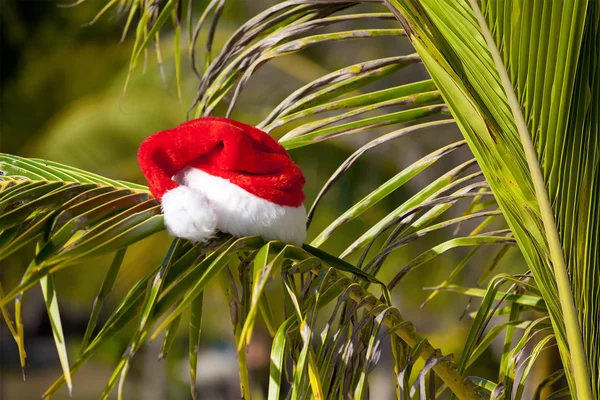 Red Santa's hat hanging on palm tree at the tropical beach — Stock Photo, Image