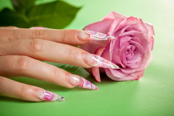 Finger mit schöner Maniküre berühren eine nasse rosa Rose — Stockfoto