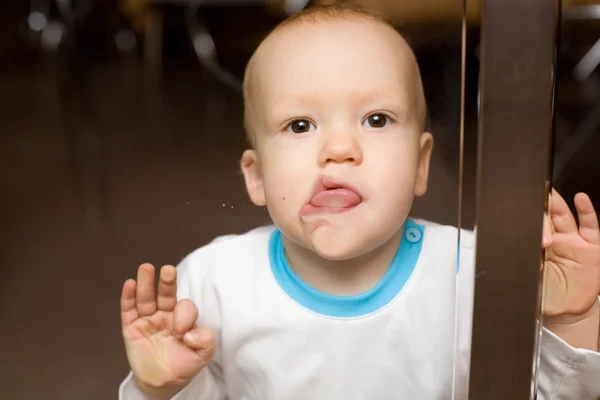 Spellbound baby klamrer sig ved tungen til butiksvinduet - Stock-foto