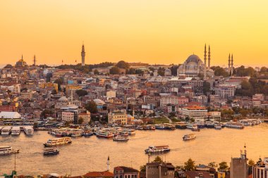 Istanbul, View on Golden Horn bay clipart