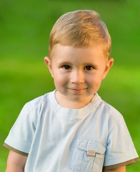 Portrait of little boy on green grass — Stock Photo, Image