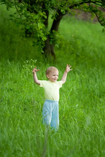 Portrait de petit garçon sur prairie — Photo