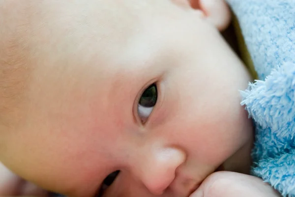 Pequeña cabeza de bebé primer plano —  Fotos de Stock