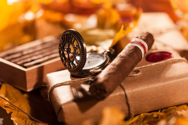 İyi puro - eski bir dosttan harika bir hediye çift kutu