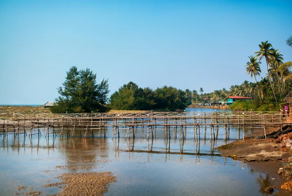 Rio perto do mar na Índia, Goa — Fotografia de Stock