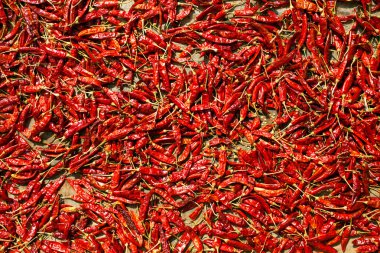 Baharatlı biber biber