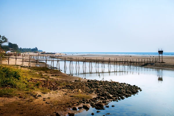 Rio perto do mar na Índia, Goa — Fotografia de Stock