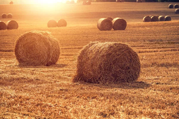 Haystack em um campo — Fotografia de Stock