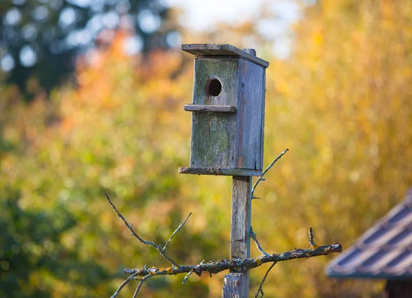 Altes Vogelhaus — Stockfoto