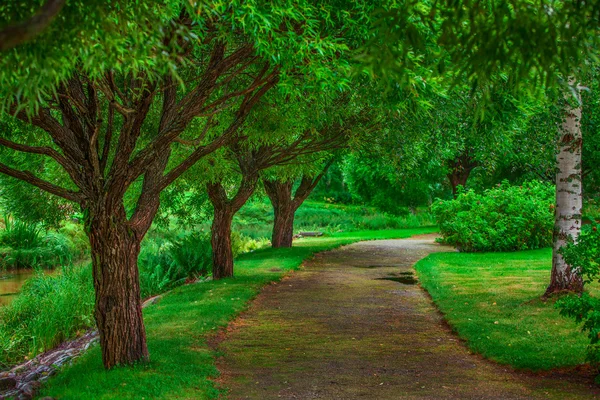 Beautiful walkway — Stock Photo, Image