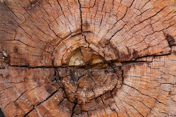 Textura de madera vieja — Foto de Stock