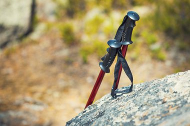 yürüyüş sopaları