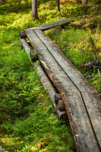 Wooden path