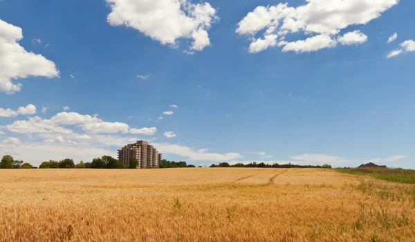 Modern living in harmony with nature environment landscape — Stock Photo, Image