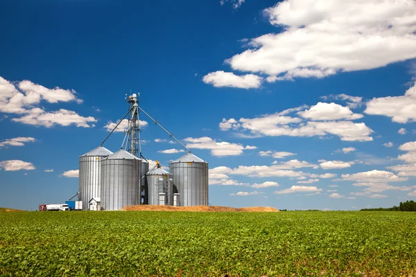 Farm tin silos storage towers in green crops view — Stock Photo, Image