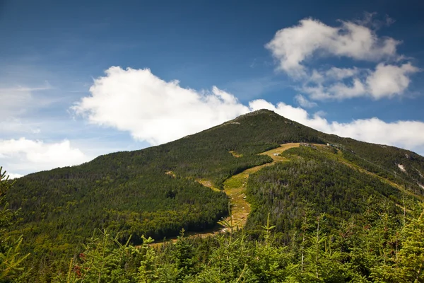 Adirondack Bělobrad horských lesů, trail krajina — Stock fotografie