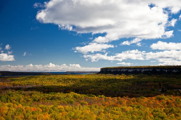 Cape Croker Cliff Outono Outono Floresta Árvores paisagem — Fotografia de Stock