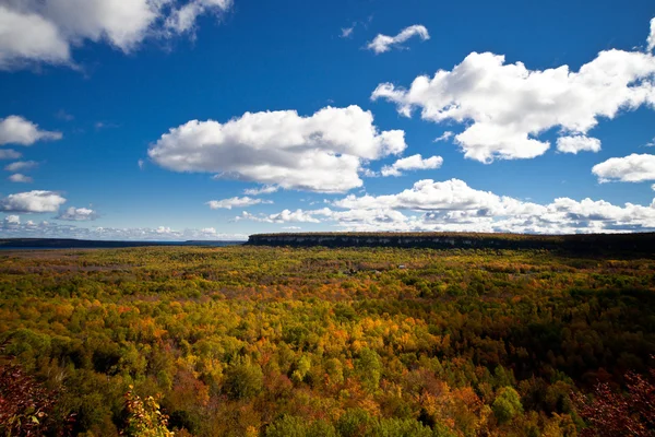 Cape Croker Cliff sonbahar sonbahar Orman ağaçları manzara — Stok fotoğraf