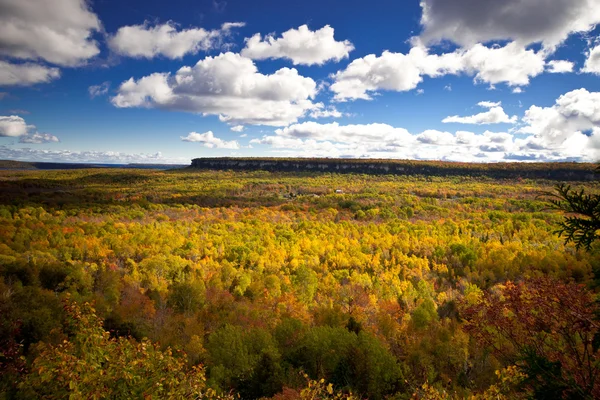 Cape Croker Cliff Outono Outono Floresta Árvores paisagem — Fotografia de Stock