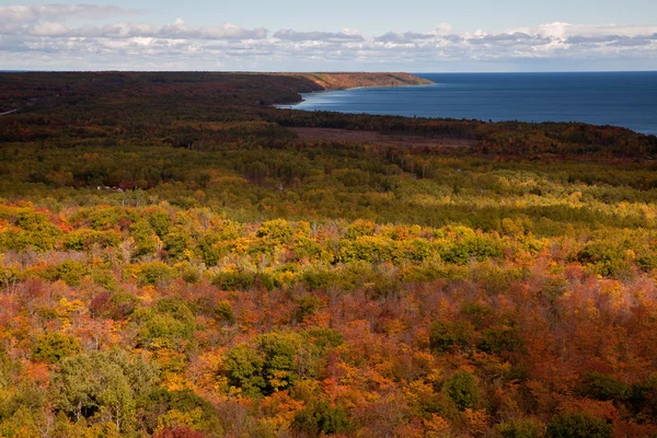 Zobacz Cape Croker jeziora Huron jesień jesienią drzew leśnych — Zdjęcie stockowe