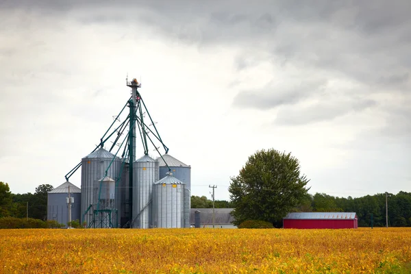 農場サイロ黄色作物の貯蔵タワー — ストック写真