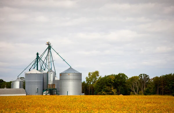 Torres de armazenamento de silos agrícolas em culturas amarelas — Fotografia de Stock