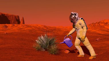 Mars'ın bitki