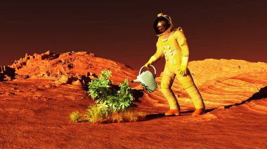 Mars'ın bitki