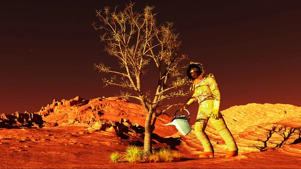 Plant on Mars — Stock Photo, Image