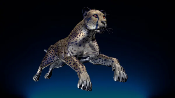 Das Bild eines Geparden — Stockfoto