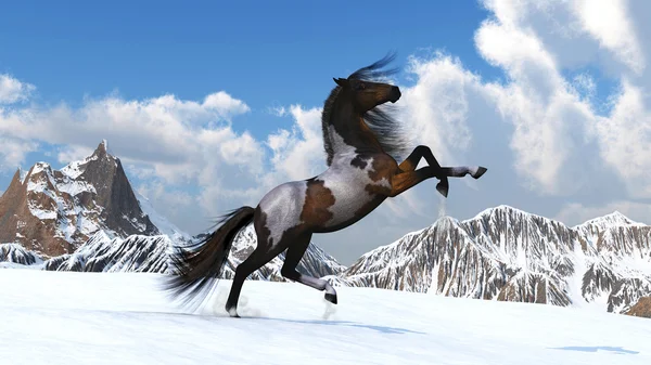 Кінь проти гори — стокове фото