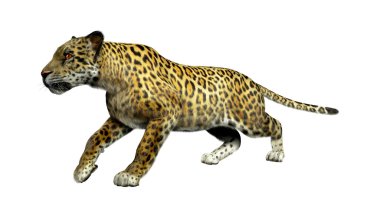 Leopar 3d çizim